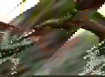 电竞短视频创作